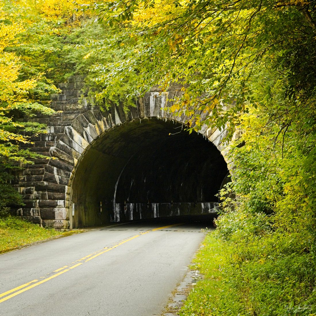 Stone arched Blue Ridge Parkway tunnel framed by autumn foliage above a curving roadway