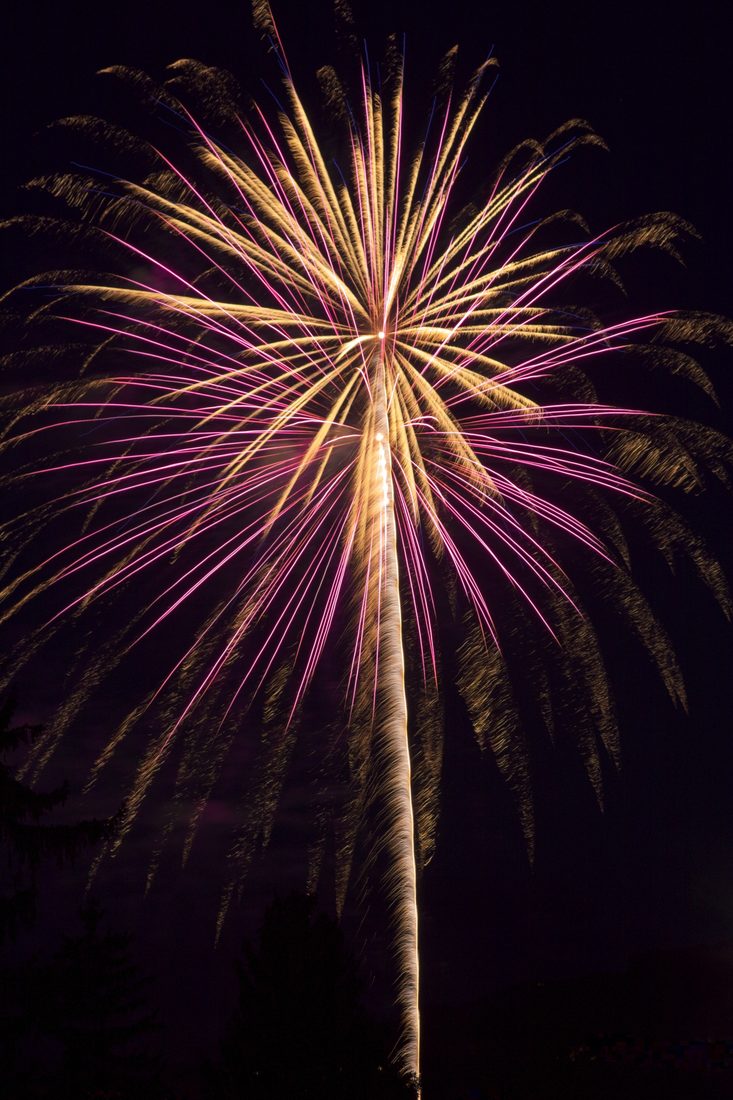 Pink and gold fireworks burst arcing against a deep black night sky