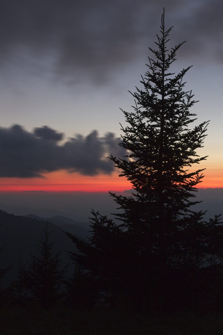 Vertical twilight scene with silhouetted Appalachian ridges