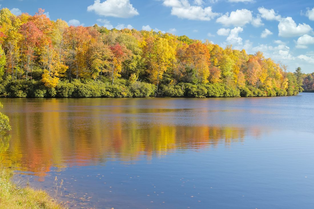 Mirror-still autumn lake reflecting vivid orange and gold treeline under blue sky