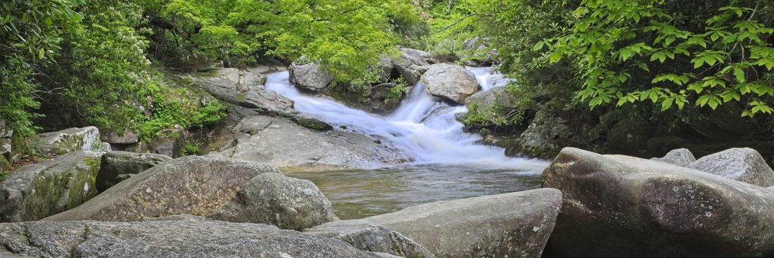 Panoramic forest stream tumbling over boulders through bright spring greenery